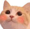 catblush
