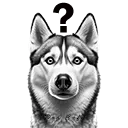 Confused_Husky2BgTx128