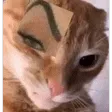 gerdasRizz