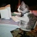 Trabajando