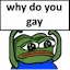 pepewhygay Discord Emoji