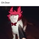 thatsSomeCat Discord Emoji