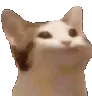 hushcat