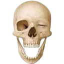 wink~2 Discord Emoji