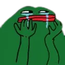 Pepe Cry pepe_cry Discord Emoji