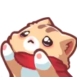 Neko_Pls
