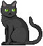 blackcat Discord emoji