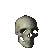 skull