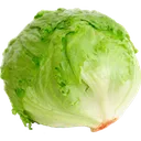 lettuce