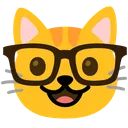 nerdcat