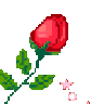 Redrose RedRose Discord Emoji
