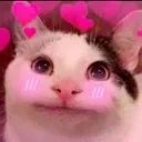 uwu20