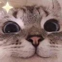 HEHEHE