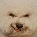 evilwoof