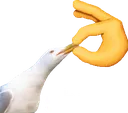 shut