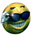 sunglasses