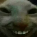 xdd