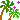 palmtrees