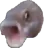 696579414535700501