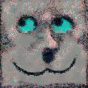 smugcat