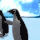 h_penguindance