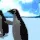 h_penguindance