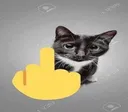 6464fuckyoucat Discord Emoji