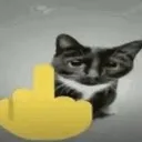 catmiddlefinger