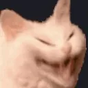KotHeheheS