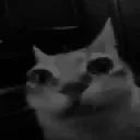 Despairm