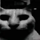 despairxd