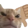 catdown