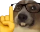 nerd