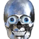 skull