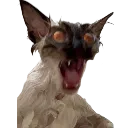 Meow meow Discord Emoji