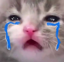 crycutecat Discord emoji