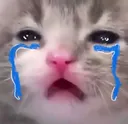 crycutecat