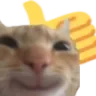 Catthumbsup