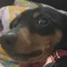 wut