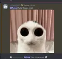 indubb