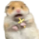 hamstercross