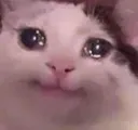Catdukhi