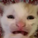 geh