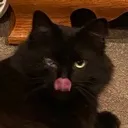 ClownsCat Discord Emoji