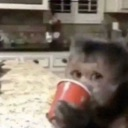 emoji_19 Discord sticker | 3rbjh community