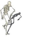 z_skeleton