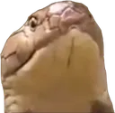 snerm