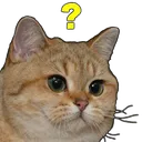 wq
