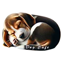 BeaglepuppycurledupnappingBgWm12