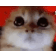 Pirubrava_fn Discord emoji